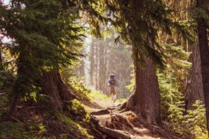 quelle hauteur prendre pour ses bâtons de trail (6)
