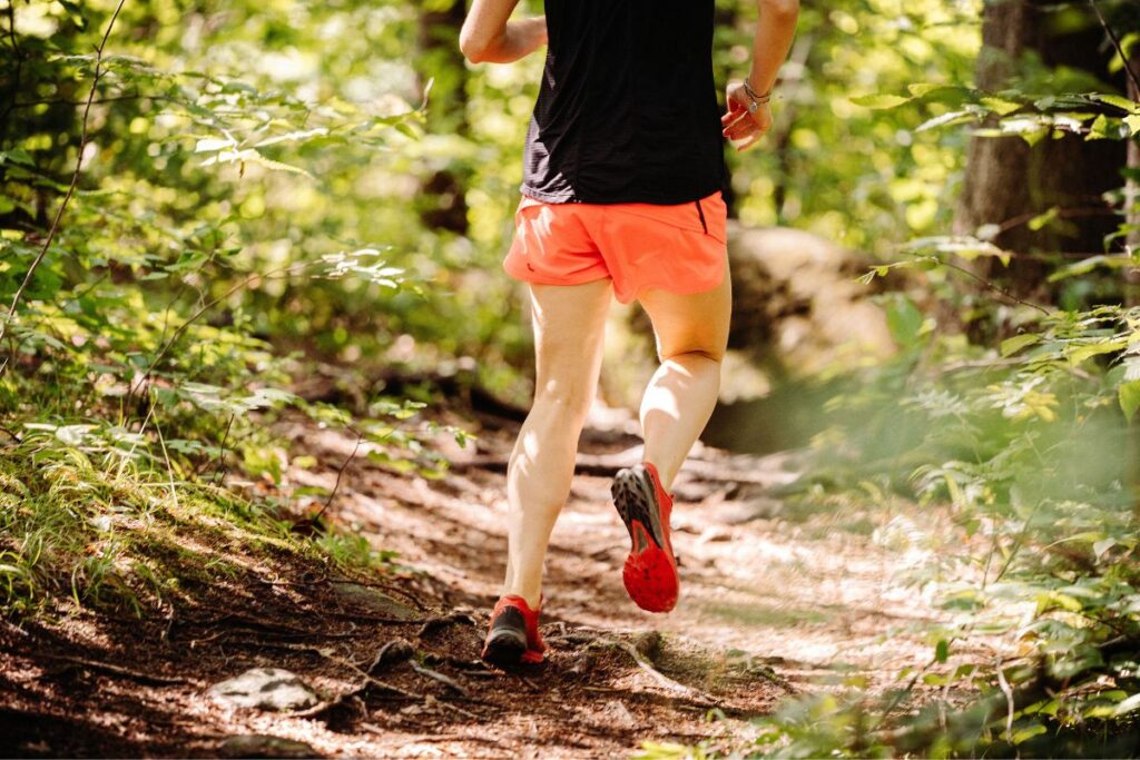 trail et trek quelles sont les différences (6)