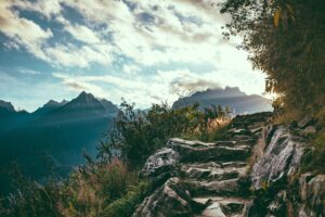 trail et trek quelles sont les différences (8)