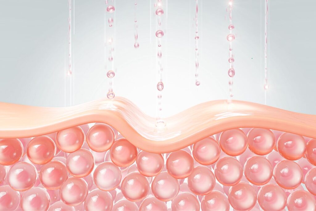 collagene tendinite (2)