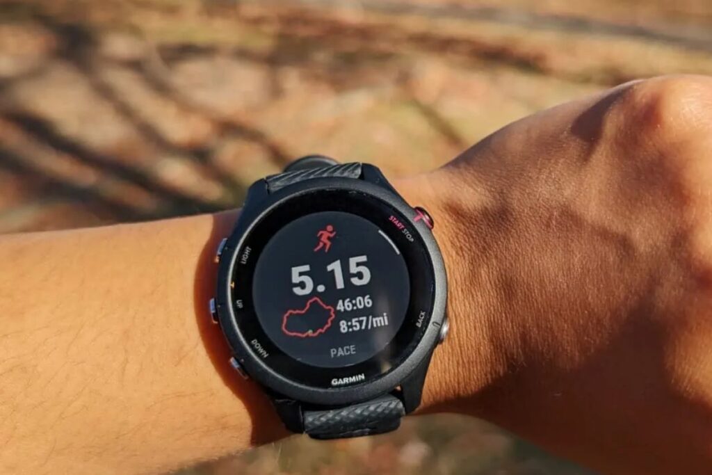garmin 255 vs 265 (9)