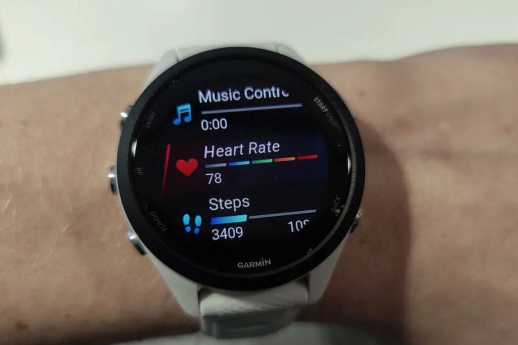 garmin 265 vs 965 (5)