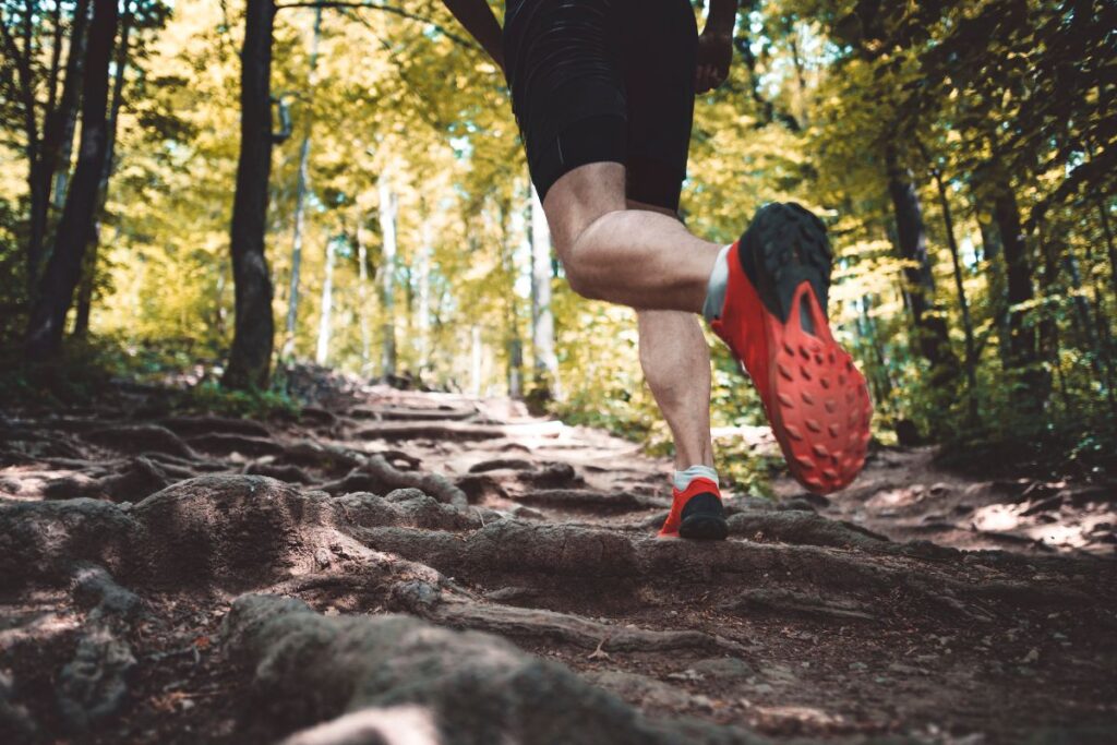 taille chaussure hoka (3)