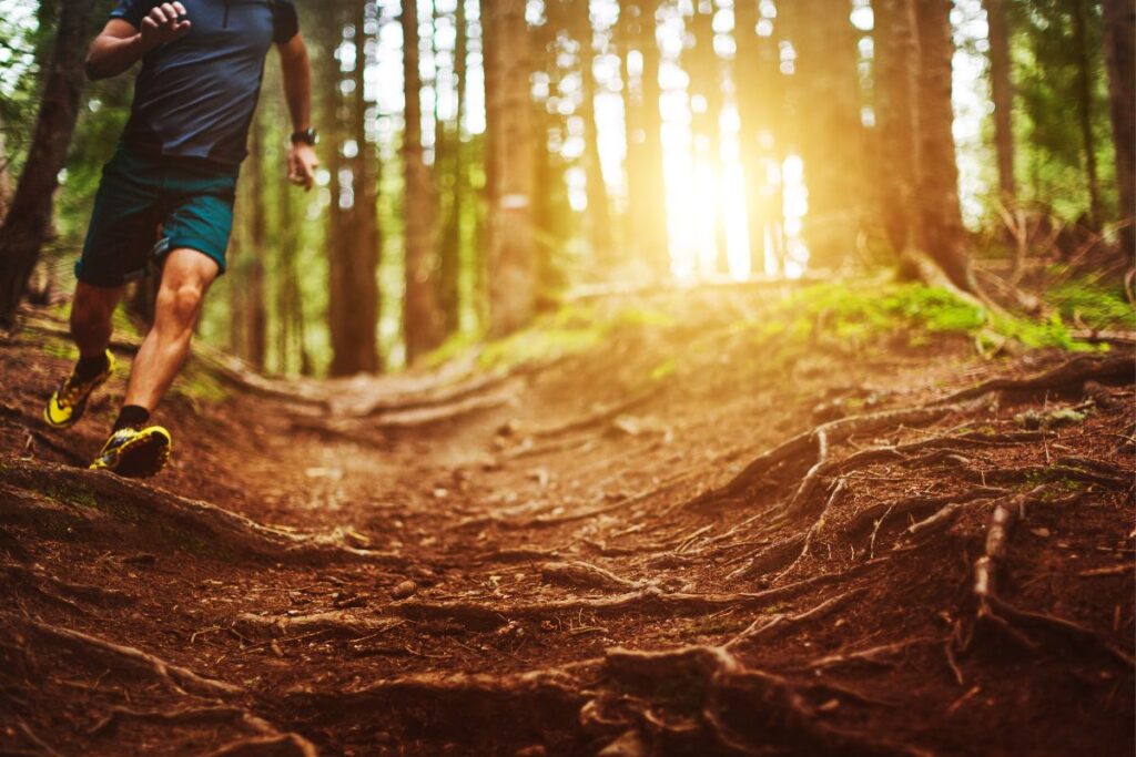 trail ile de france (1)