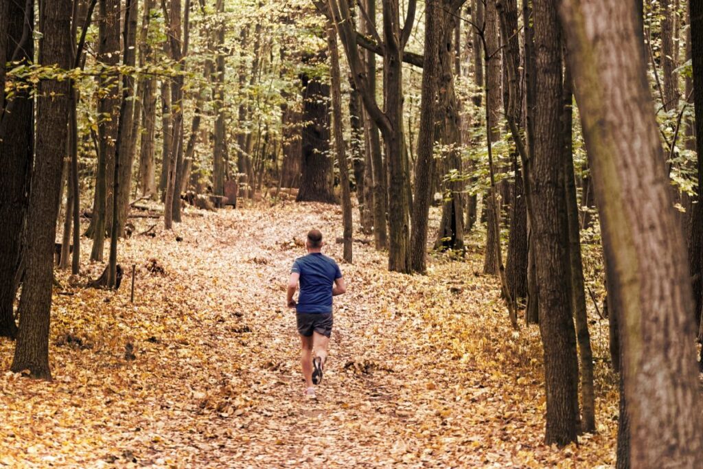 trail ile de france (8)