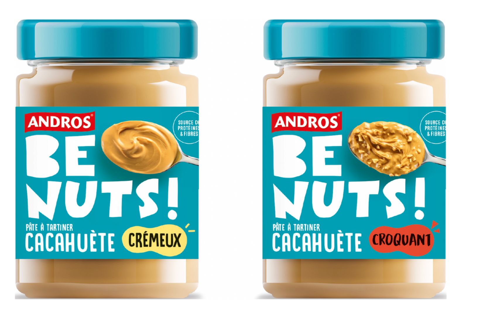 beurre cacahuete andros avis