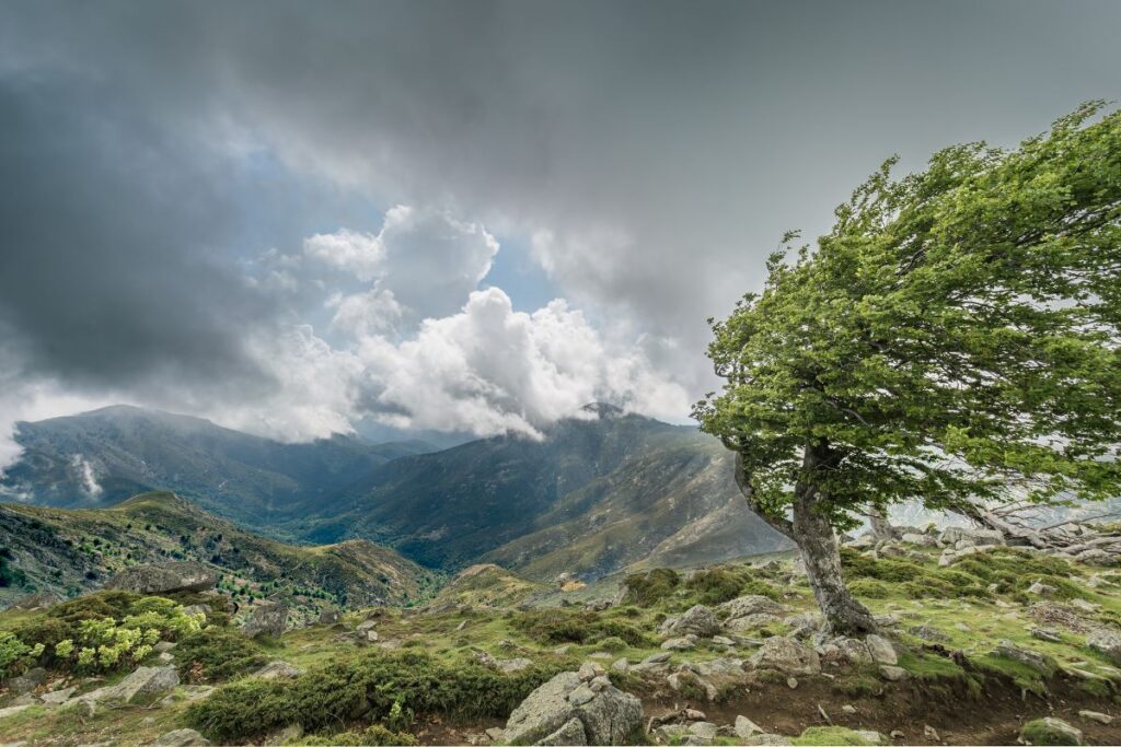 gr 20 trail (2)