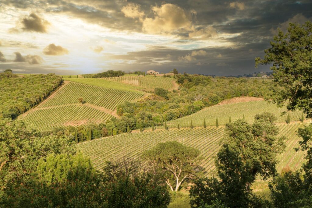 live chianti utmb