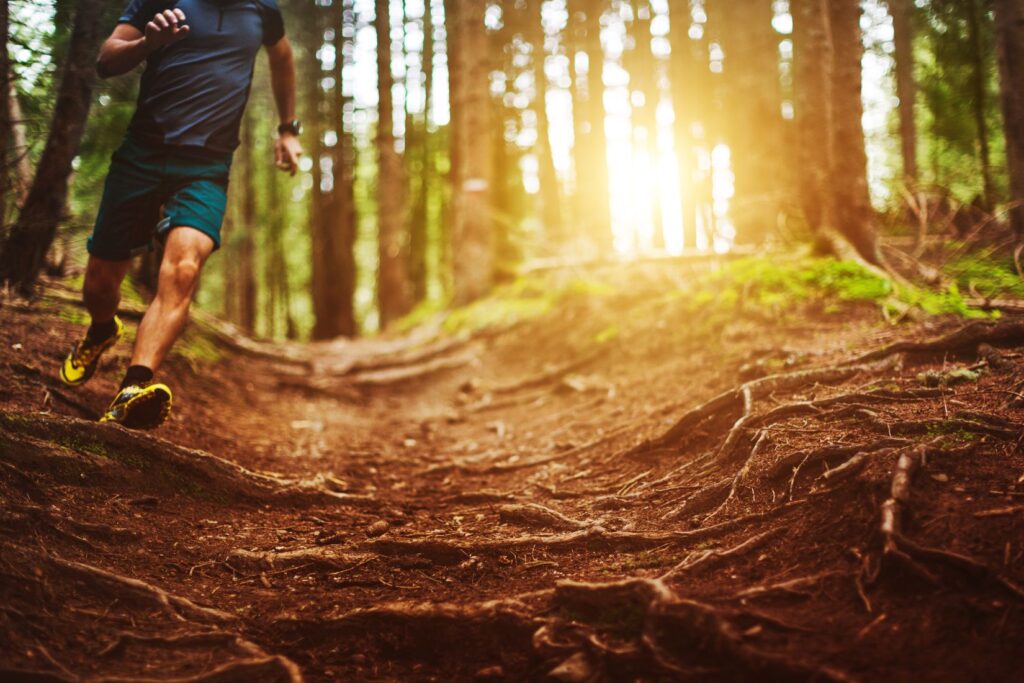 trail autour de paris (1)