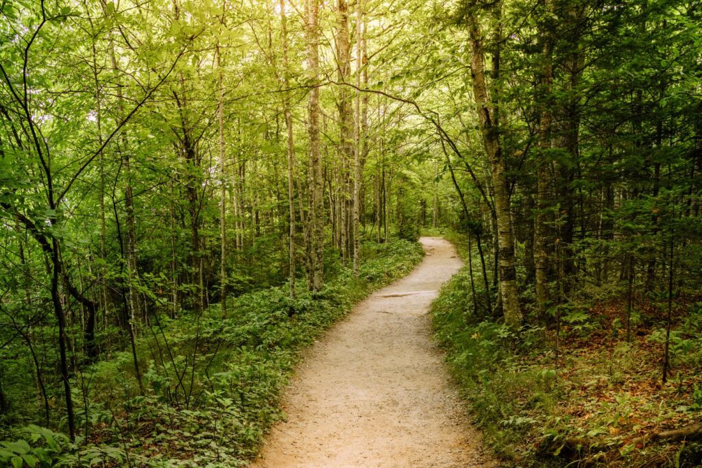 trail autour de paris (2)