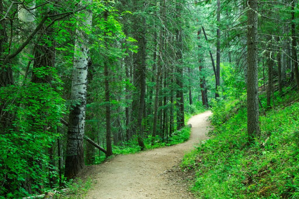 trail autour de paris (8)