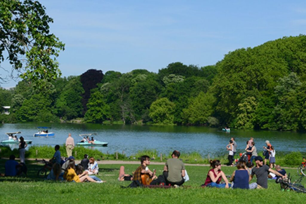 parc tete or lyon (2)
