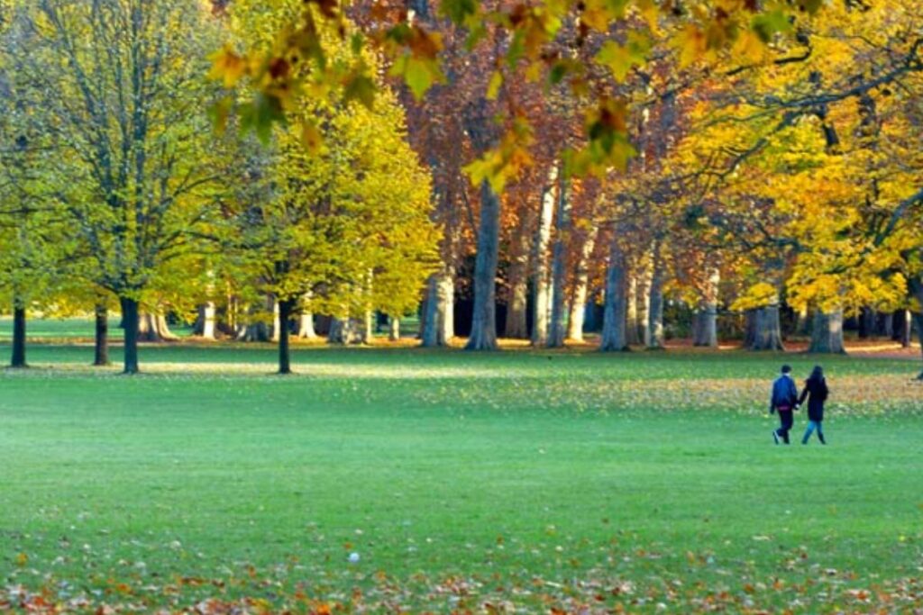 parc tete or lyon