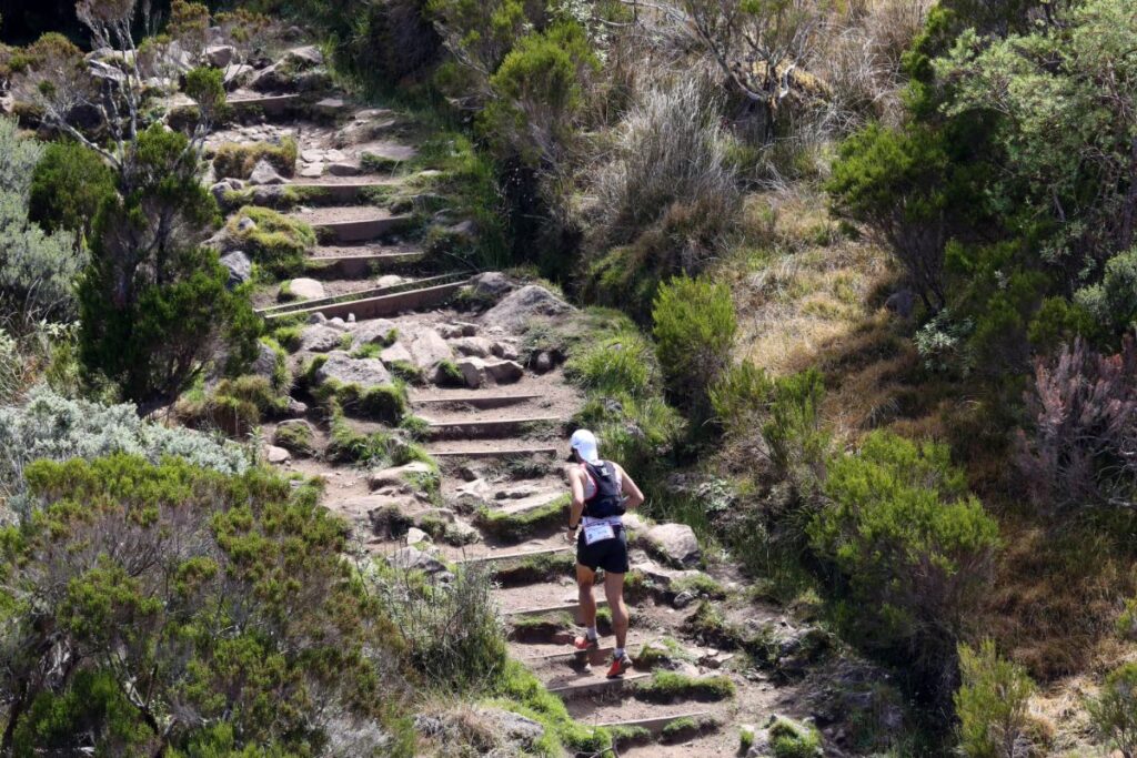 spot diagonale des fous (2)