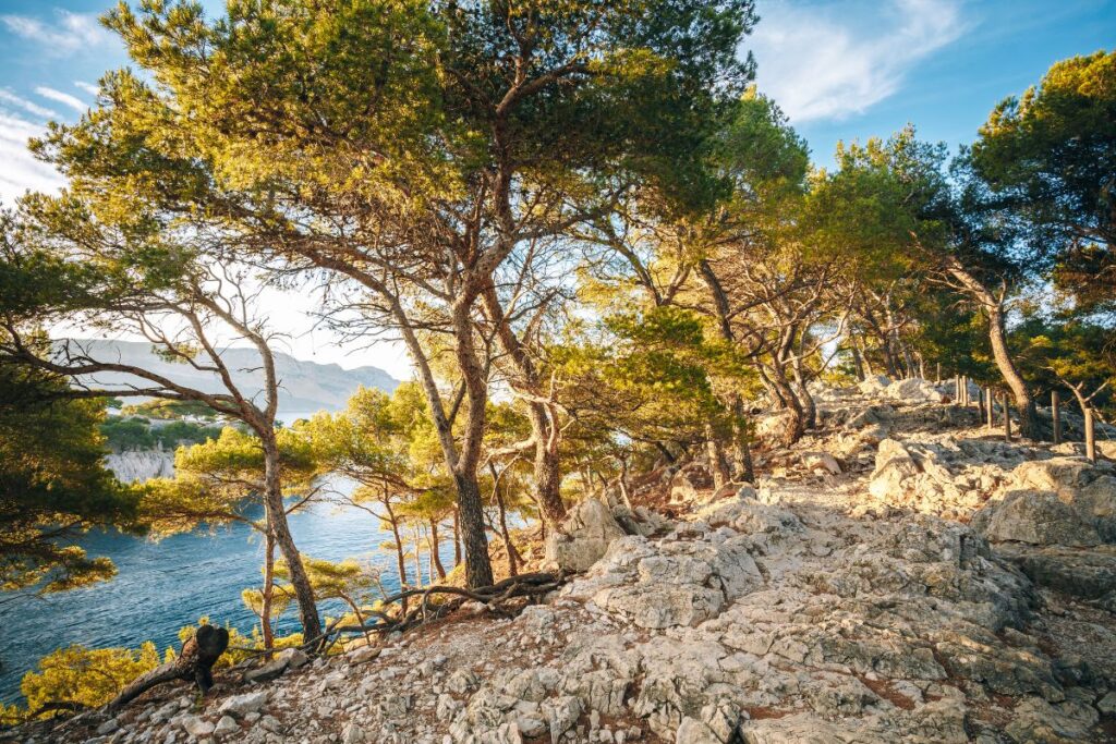 trail marseille