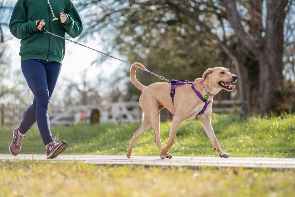 courir avec son chien (2)