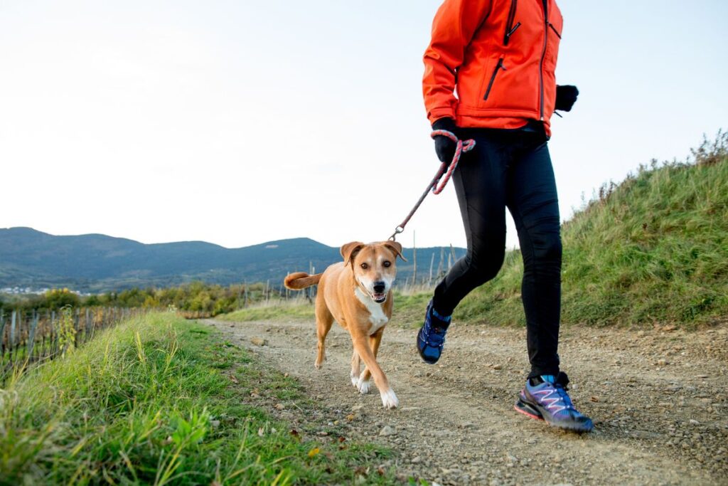 courir avec son chien (4)
