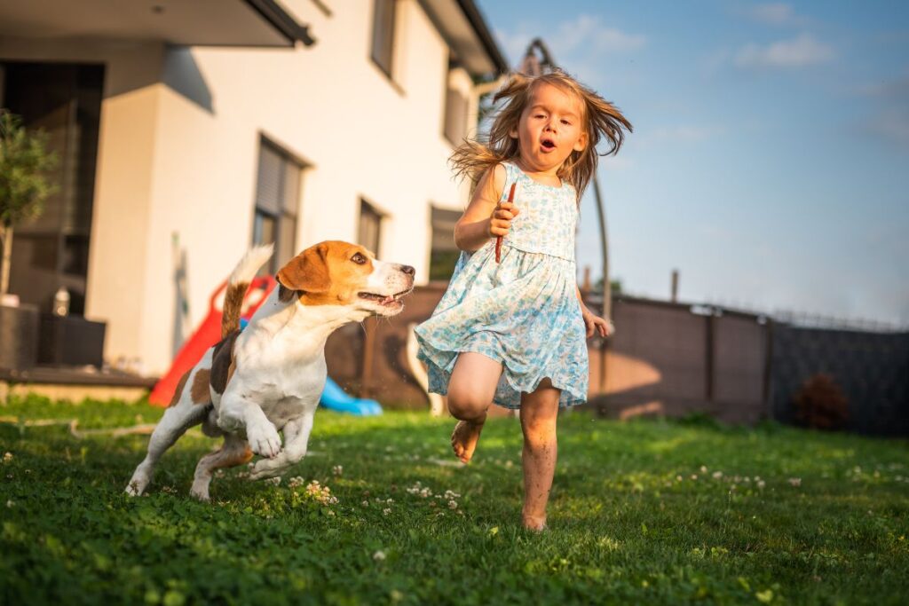 courir avec son chien (6)