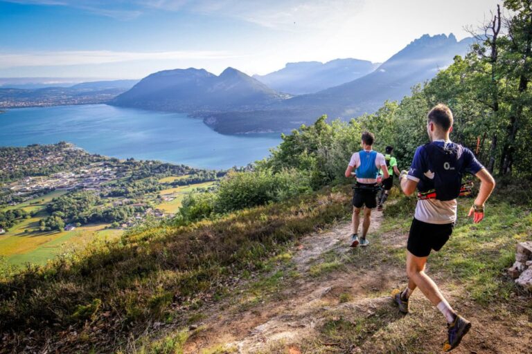 Où regarder le live de la Maxi Race 2025 facilement ? 