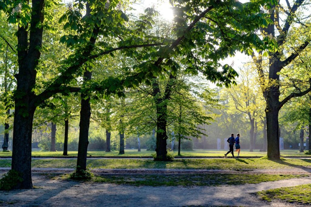 marathon 4heures (4)