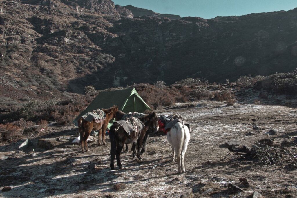 sentier trail difficile monde (2)