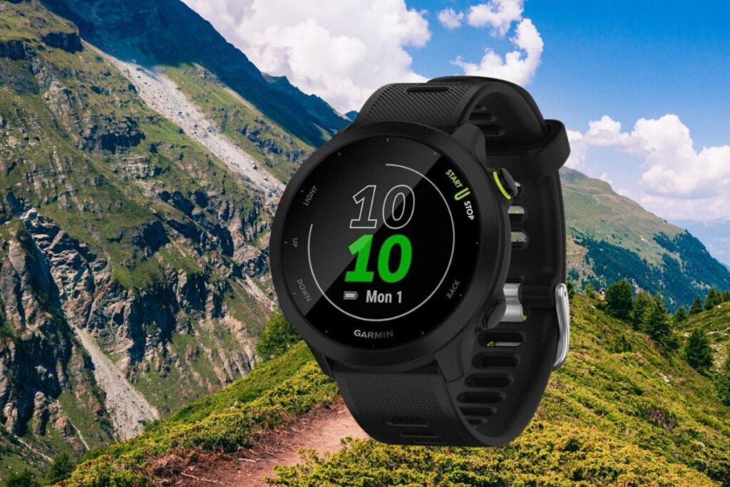 body battery garmin (2)