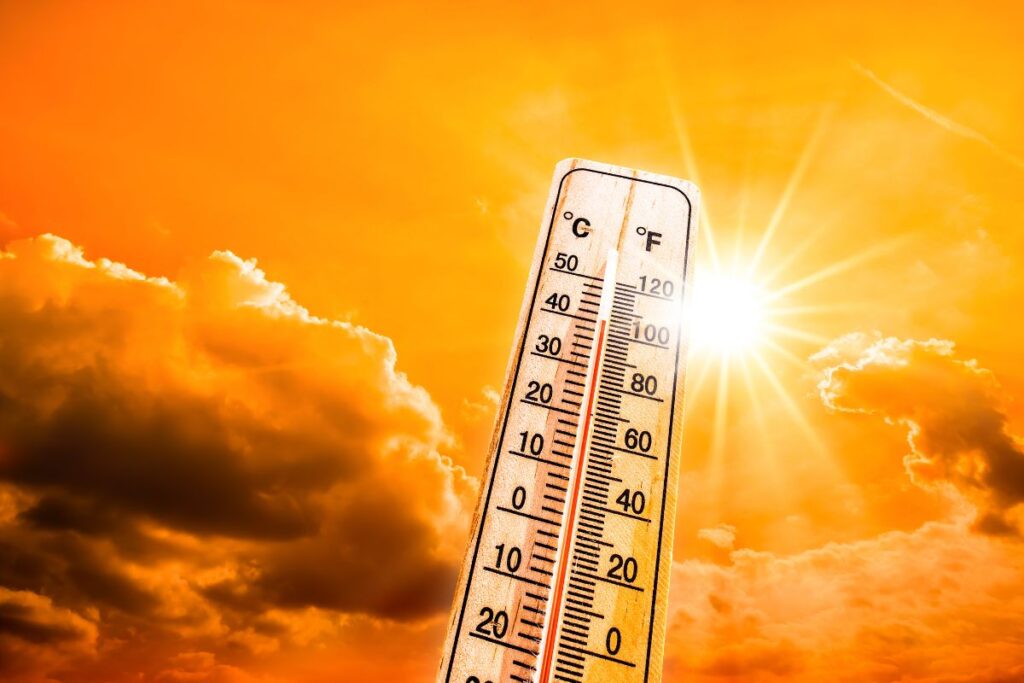 course canicule chaleur (2)