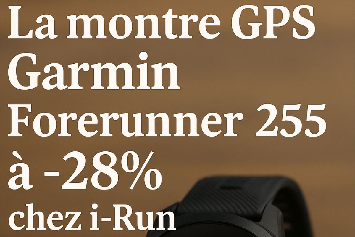 garmin 255