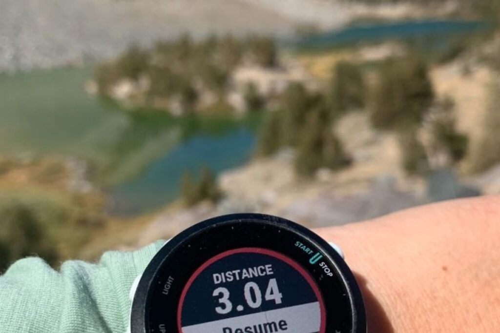 garmin forerunner 55 (1)