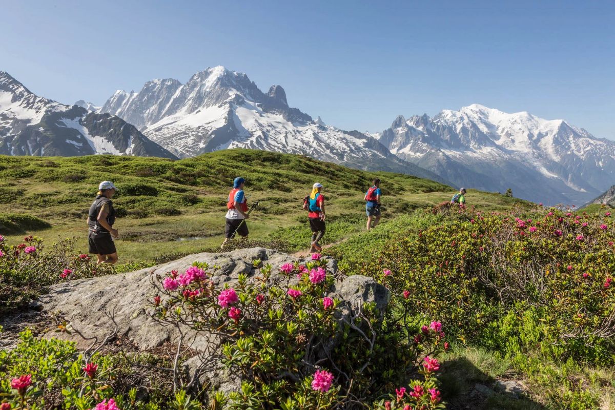 live marathon mont blanc (4)