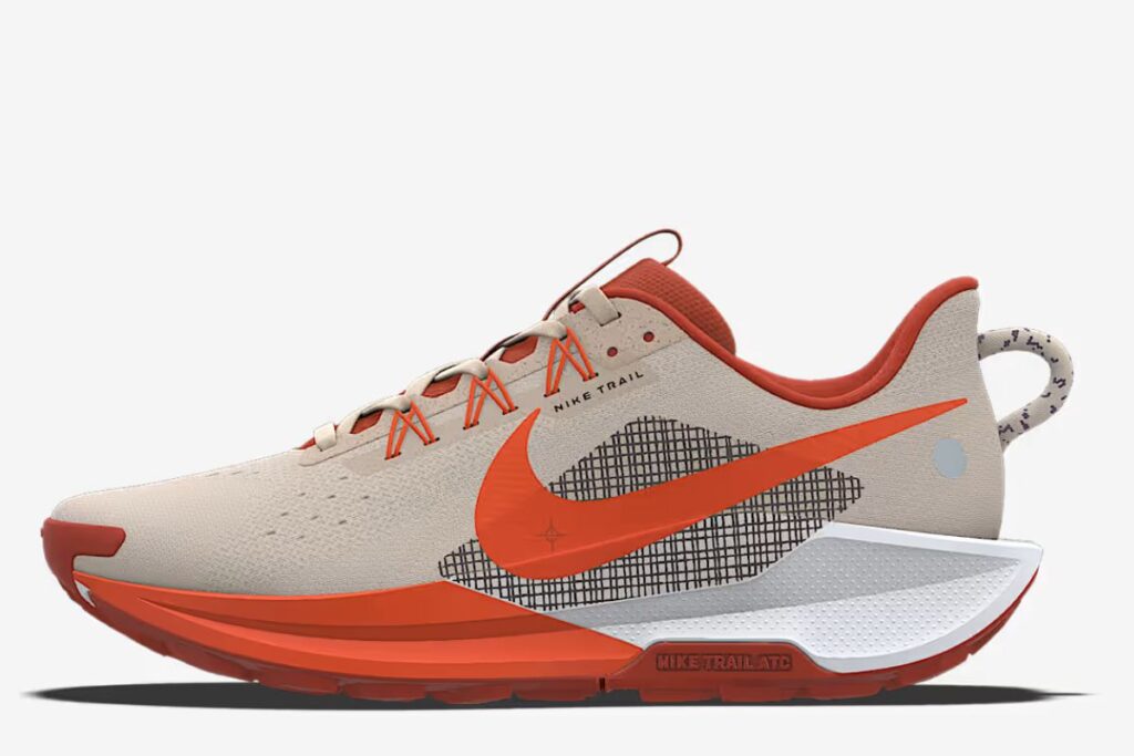 nike pegasus trail 5 (2)
