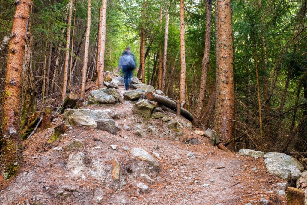 preparation utmb (2)