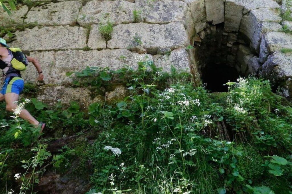 terminorum trail (2)