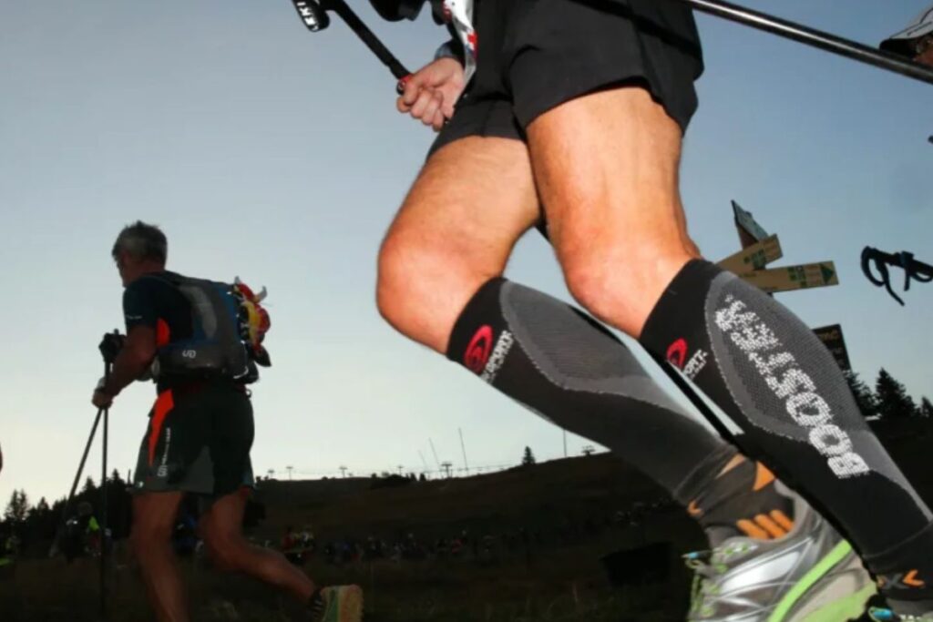 terminorum trail (4)