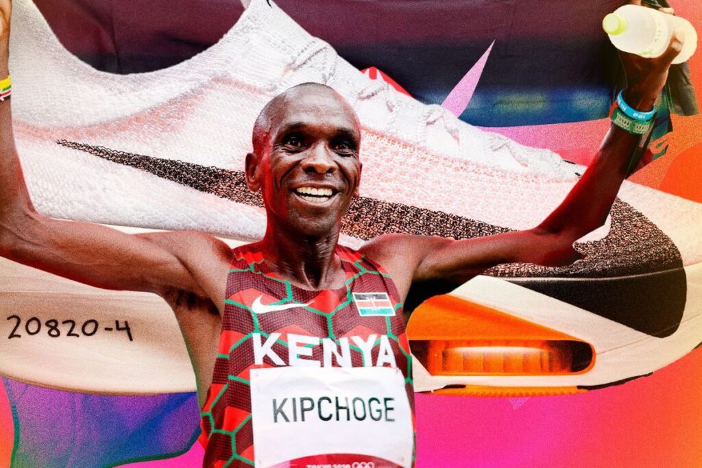 vma elevee monde (1)