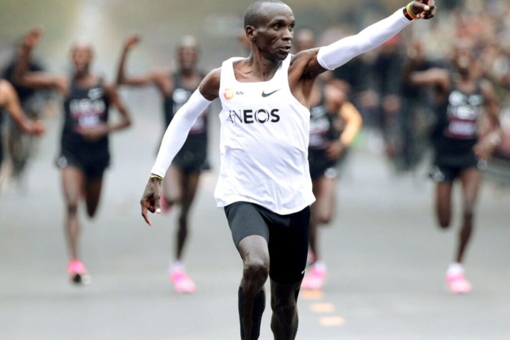 vma elevee monde (2)