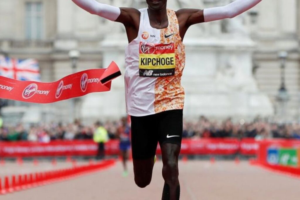 vma elevee monde (3)