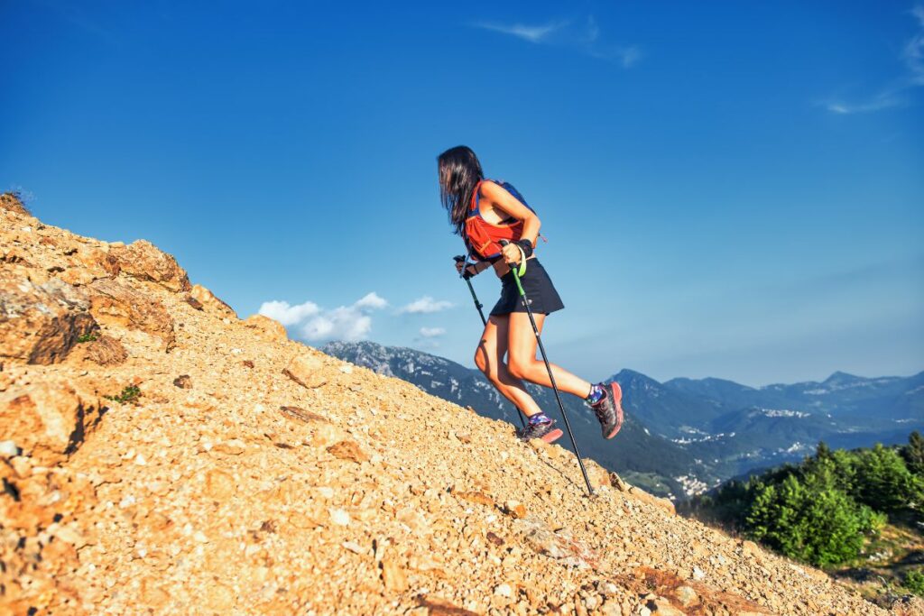 baton aluminium ou carbone trail (1)