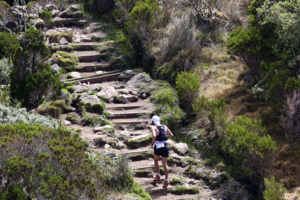 diagonale fou temps moyen (2)