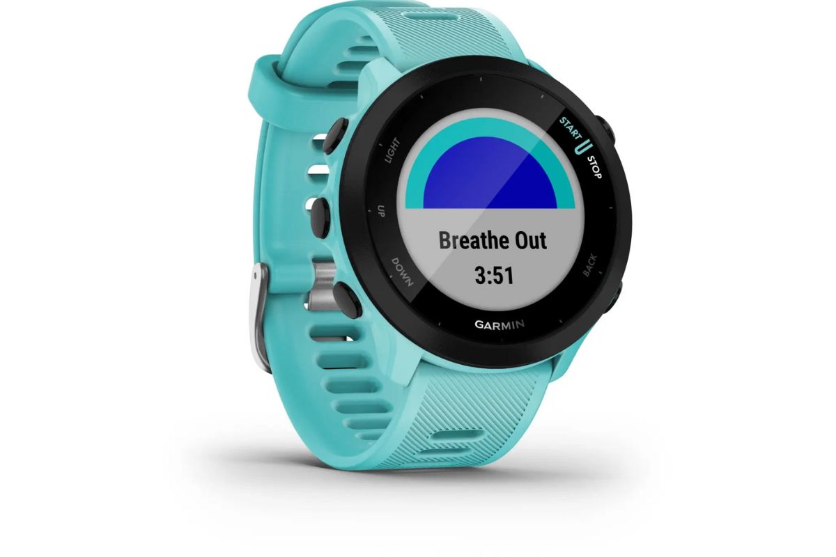 garmin forerunner 55 (2)