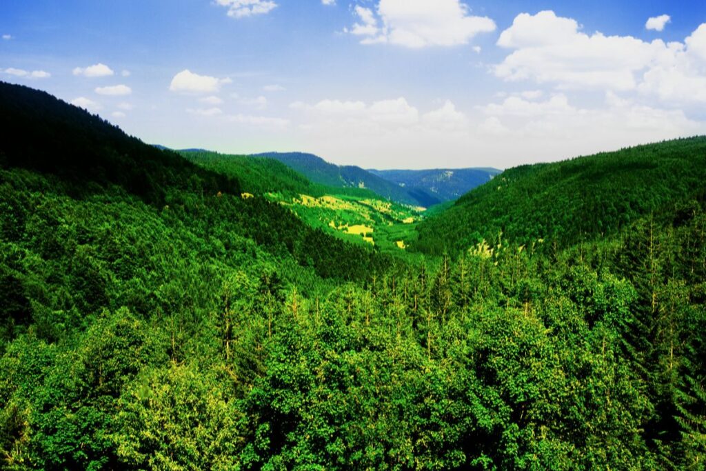 ou courir alsace