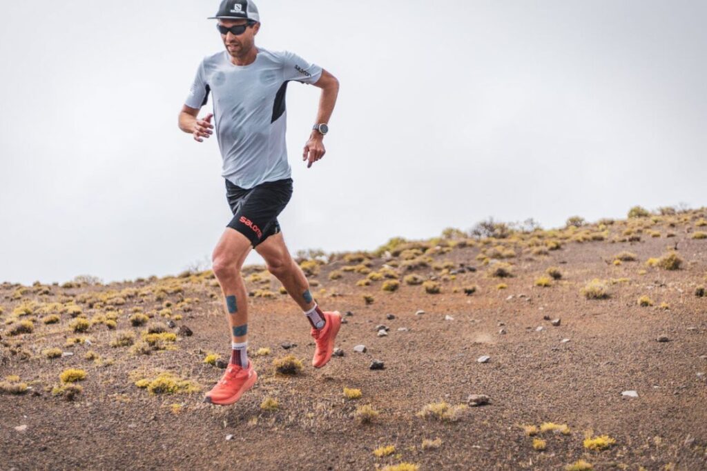 salaire francois dhaene (1)