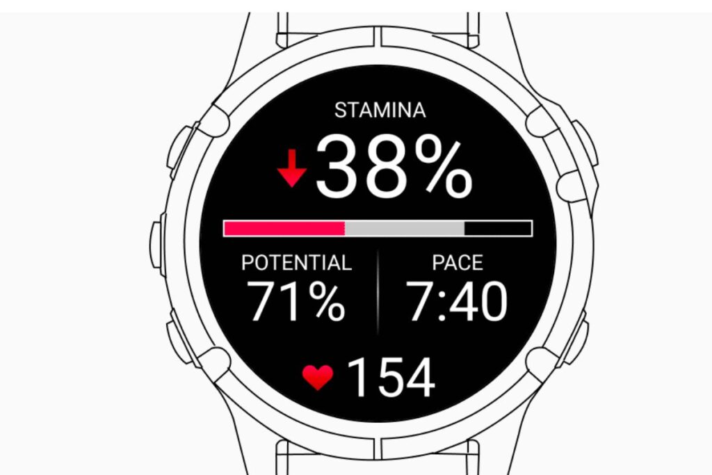 stamina garmin (1)