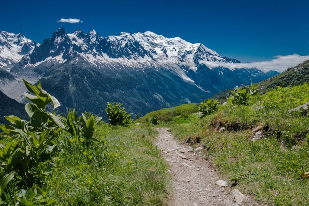 trail mont blanc reco (1)