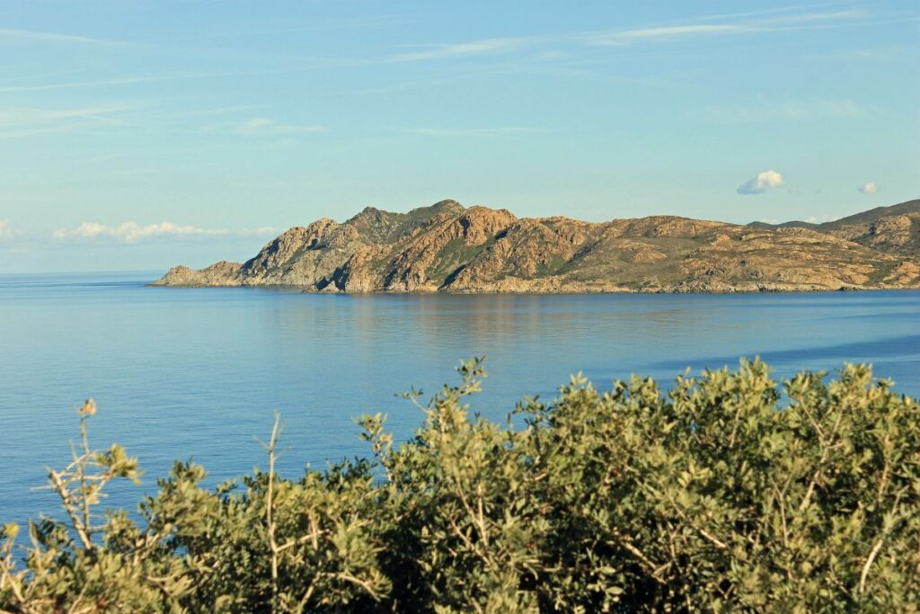 ultra trail restonica (2)
