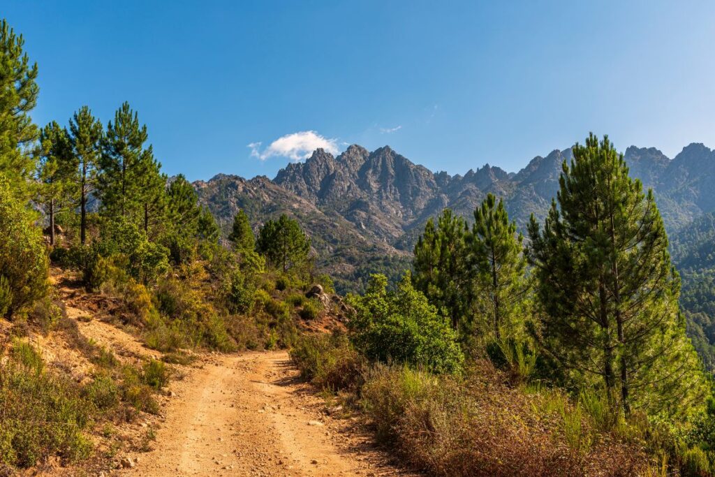 ultra trail restonica (3)