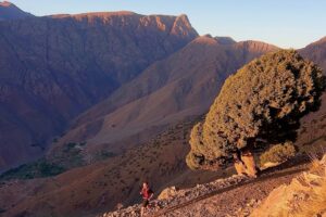 atlas quest trail (3)