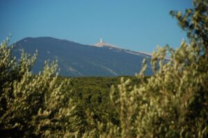 championnat france trail 2026 (4)