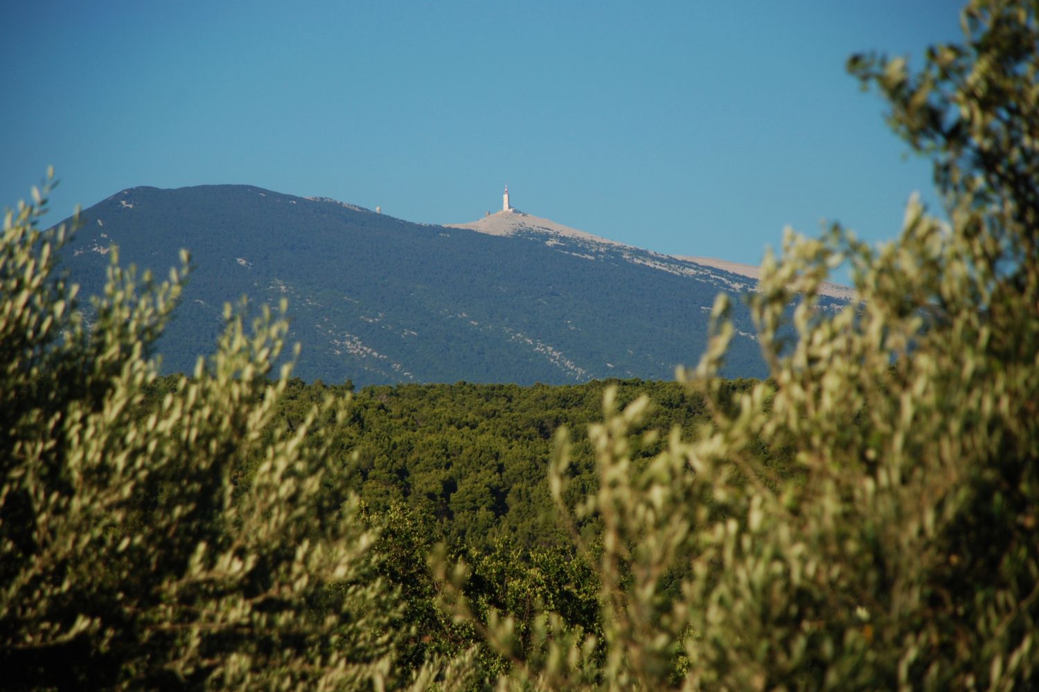 championnat france trail 2026 (4)