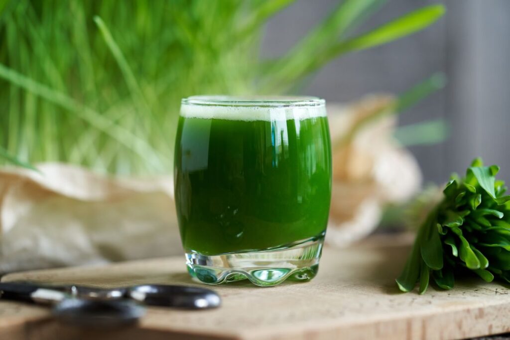 jus herbe ble bienfaits (1)